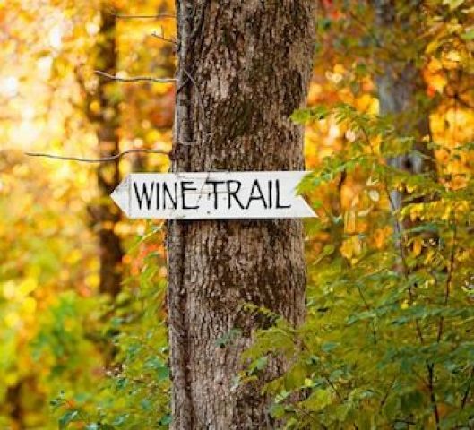 shawnww-hills-wine-trail-southern-illinois