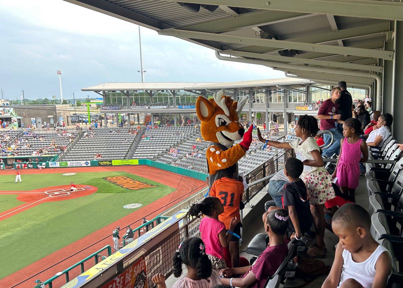 mtn-dew-park-marion-southern-illinois