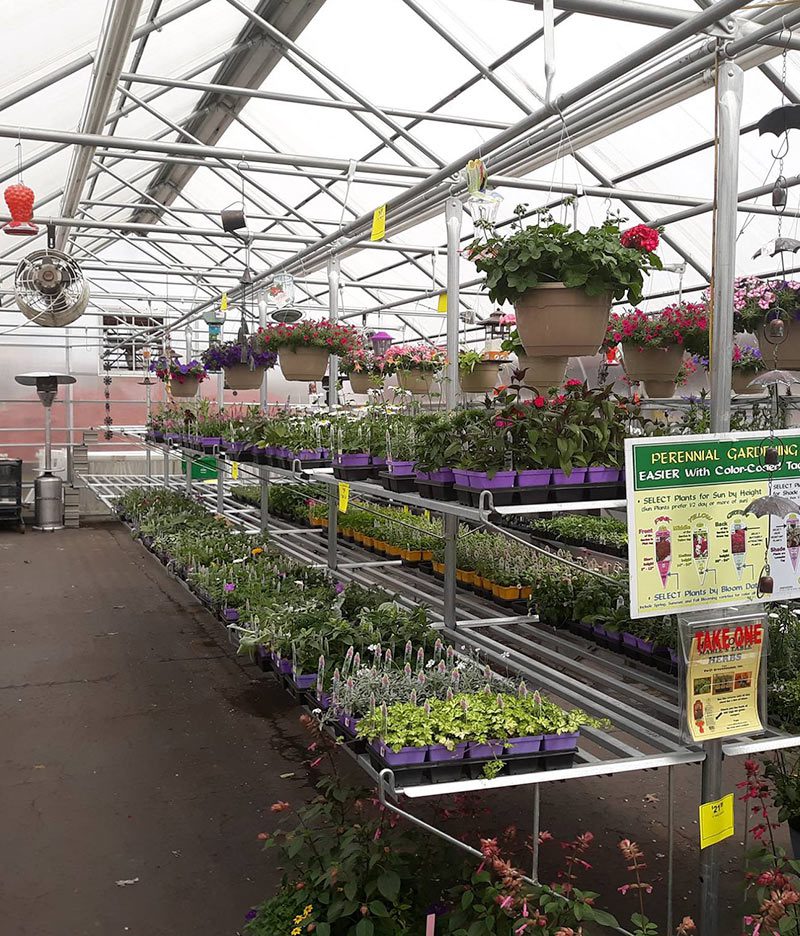 Ace Hardware garden section