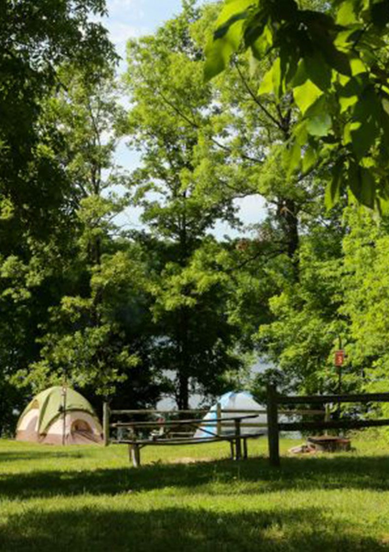 campground with green tent and picnic tables