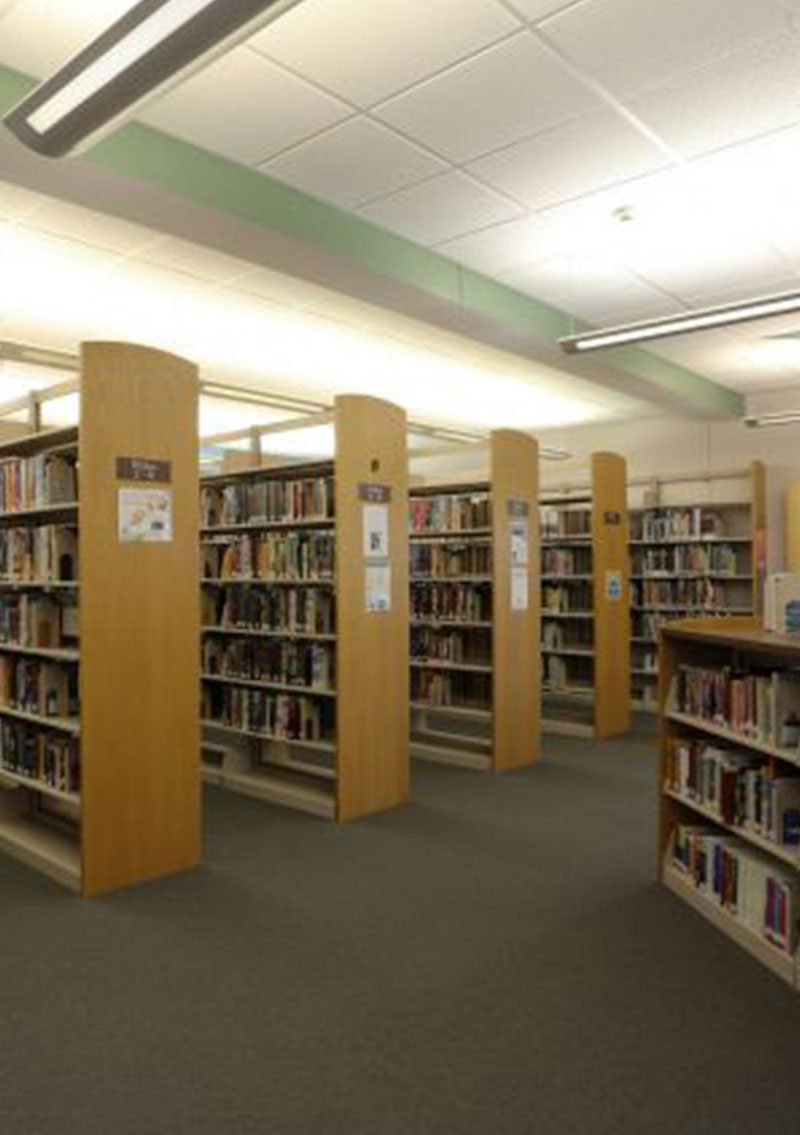 books organized on library shelves