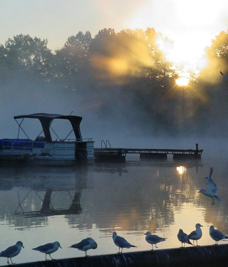 Blue Heron Marina and Campground with morning fog over the lake