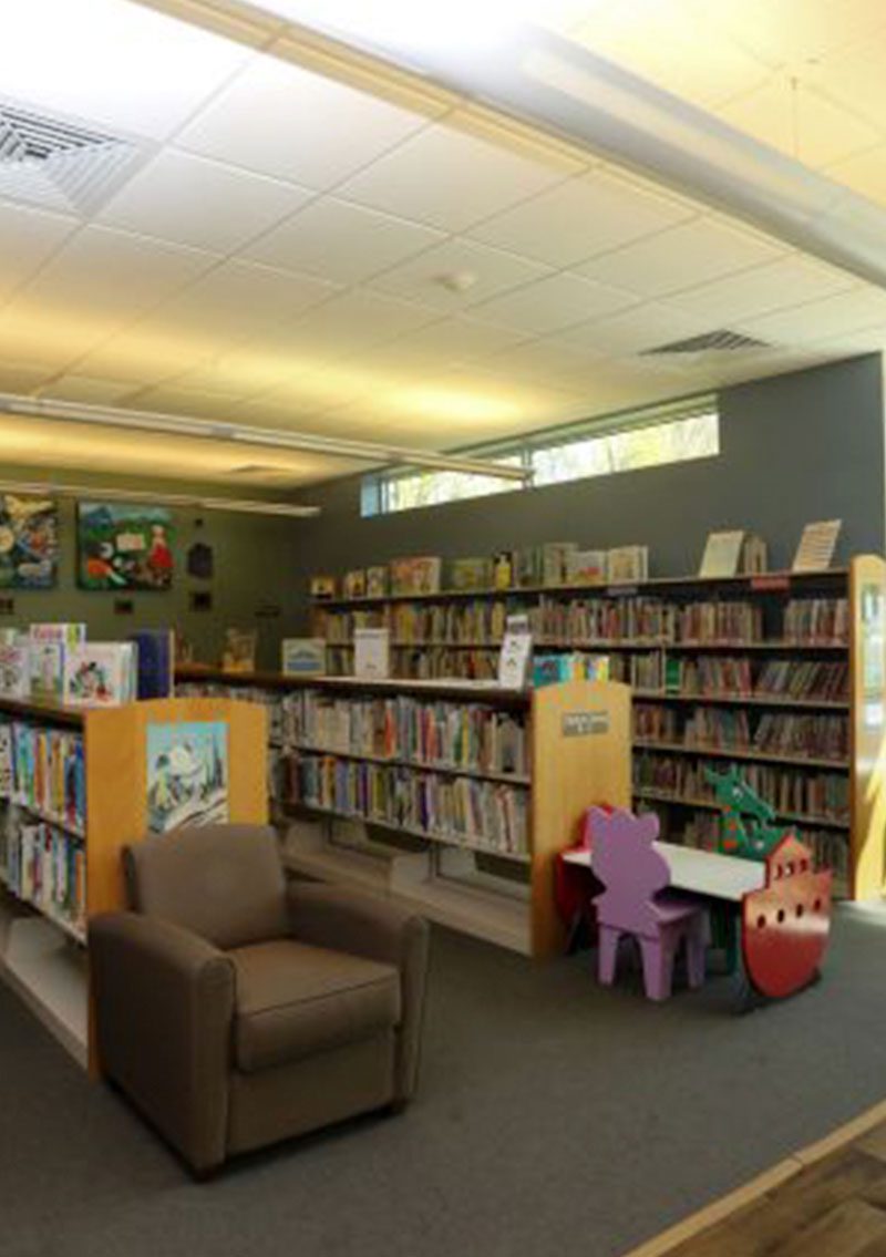 children's books organized on library shelves
