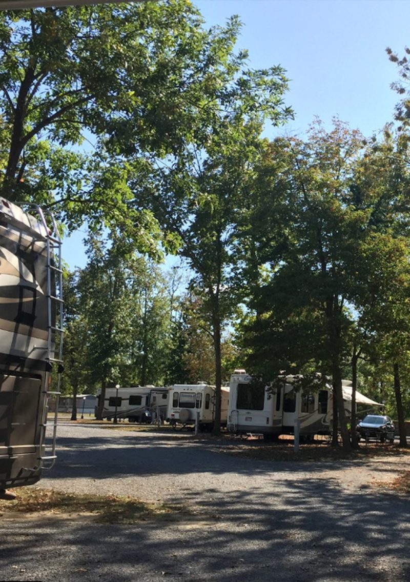 RVs parked at Marion Campground & RV Park