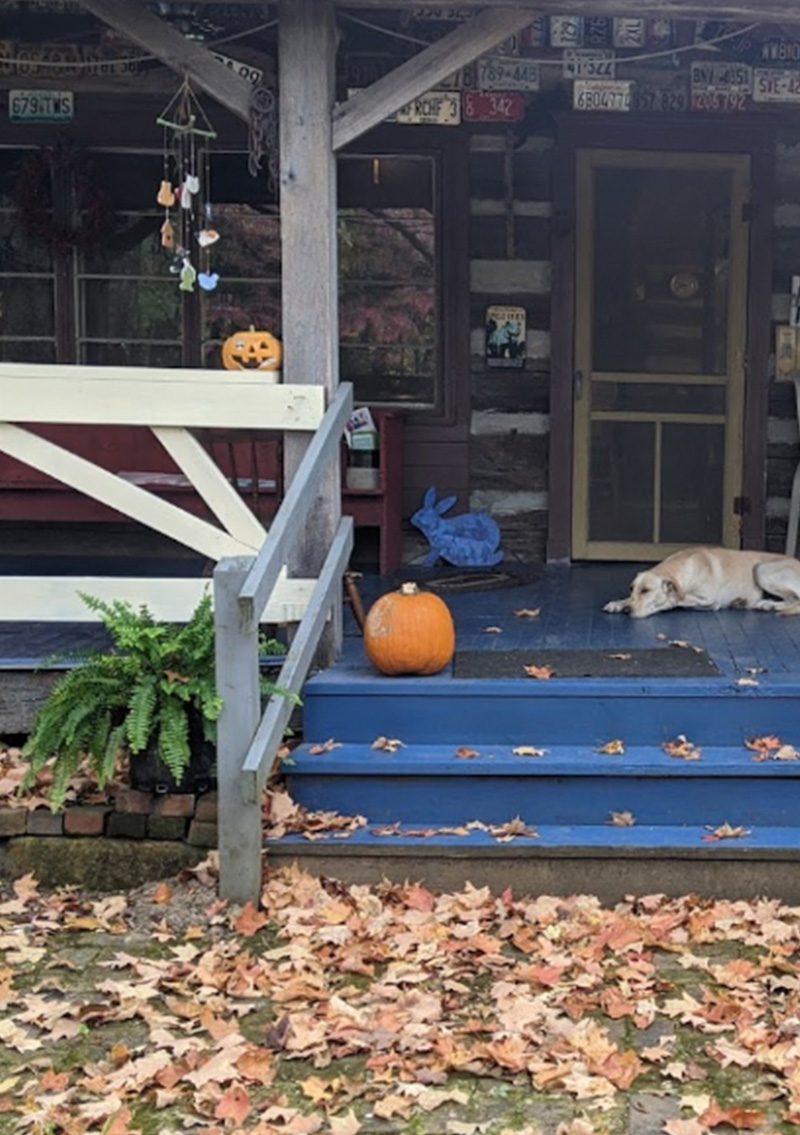 front porch with dog on it at Old Squat Inn cabin