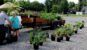 couple unloading potted plants from a trailer