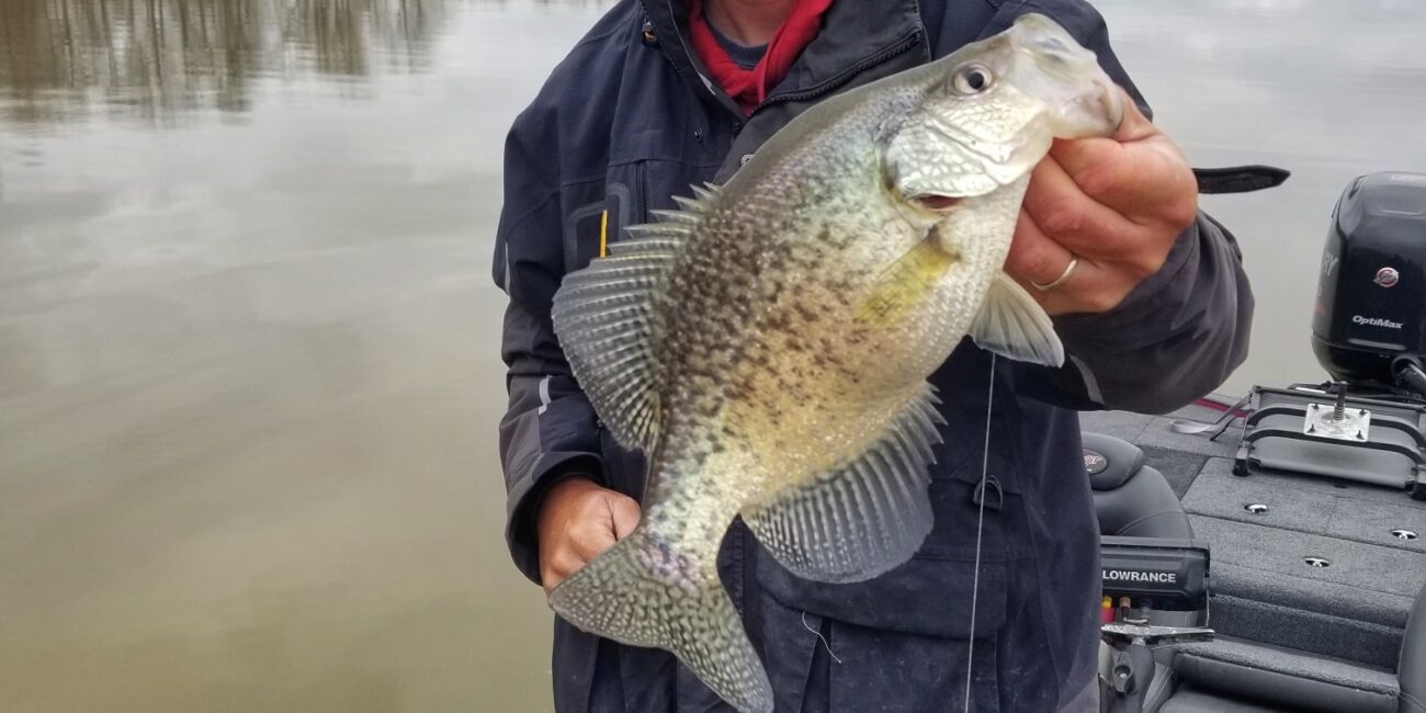 all-seasons-crappie-guide-service-kyle-lake-of-egypt-illinois