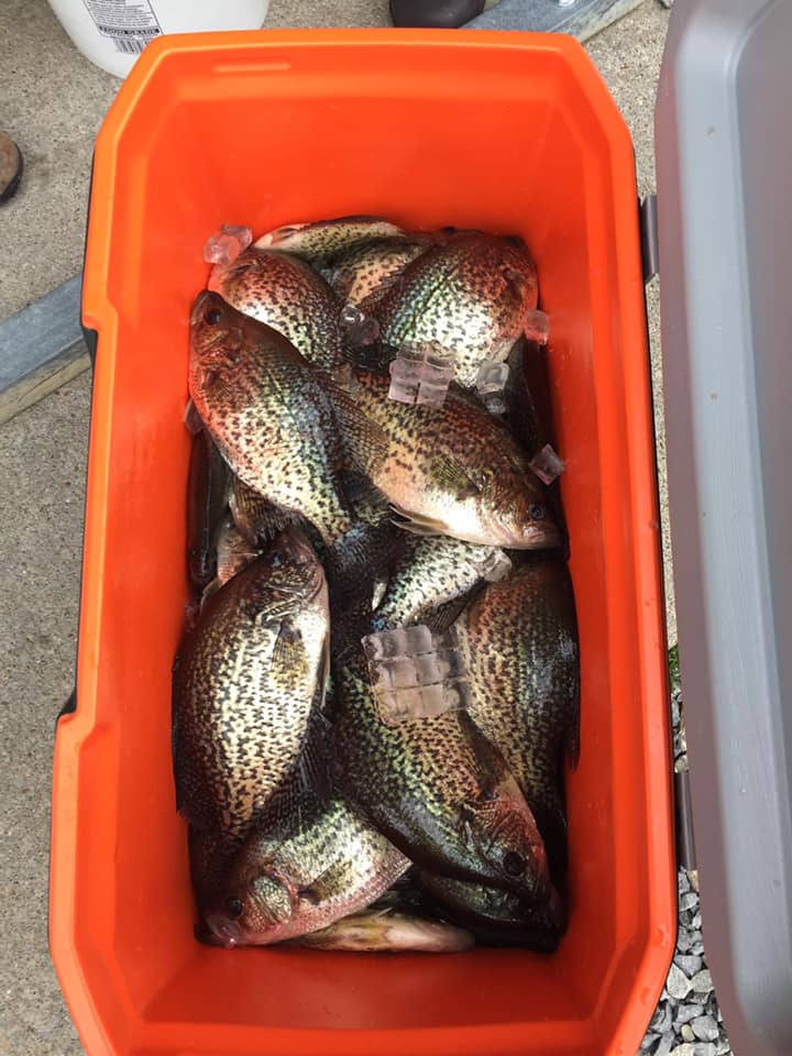 just-add-water-guide-service-crappie-lake-of-egypt-marion-illinois