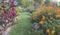 mandala-gardens-garden-path-marion-illinois