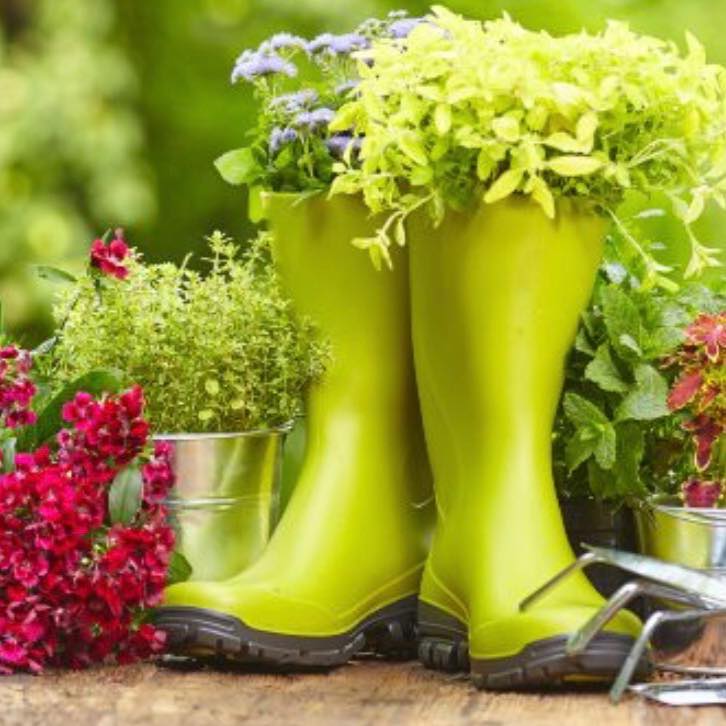plantscape-boots-herrin-illinois