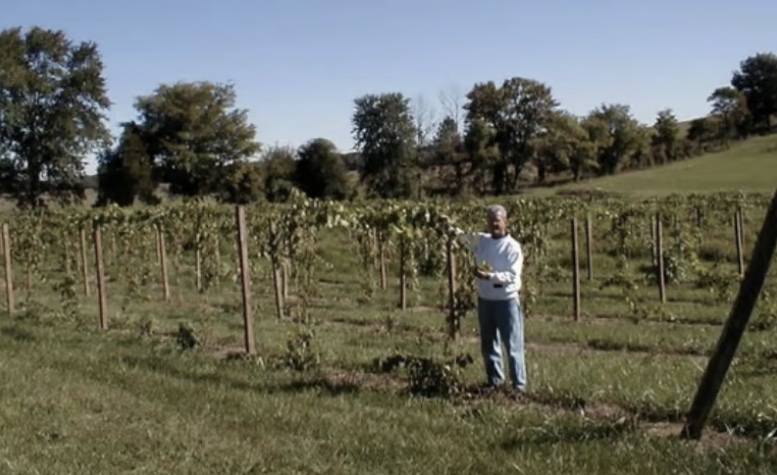 cache-river-basin-southern-illinois