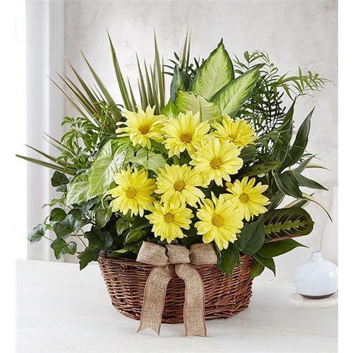 weller-the-florist-yellow-carterville-illinois