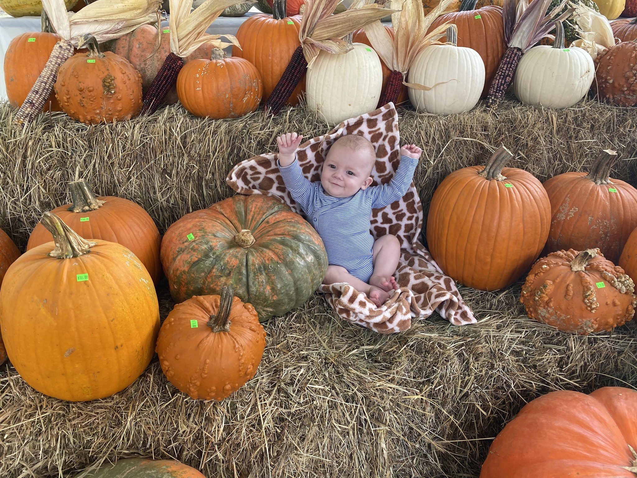 pumpkins and baby