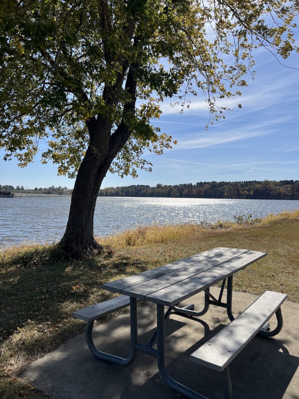 bogard-point-trail-table-carterville-illinois