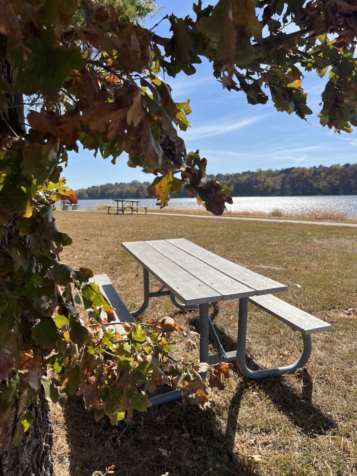 Bogard Point Trail visitSI