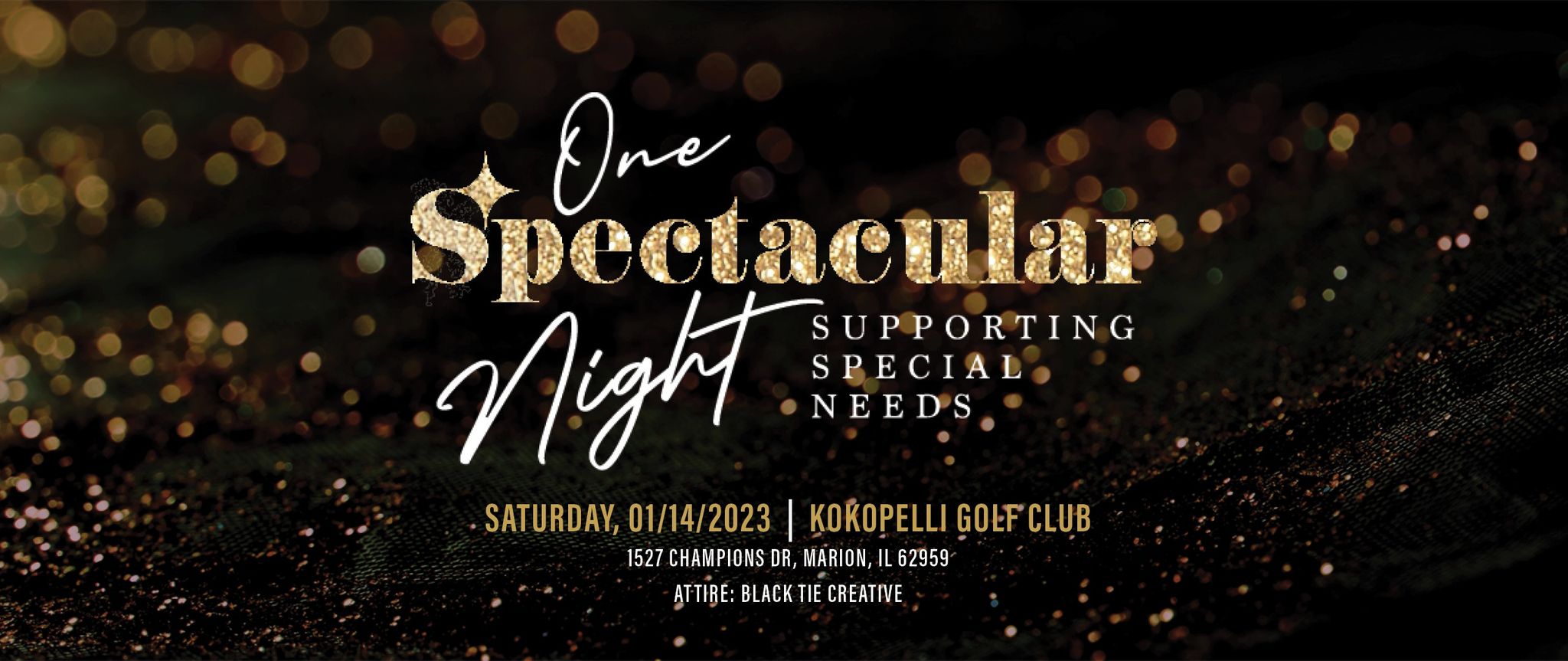 one spectacular night