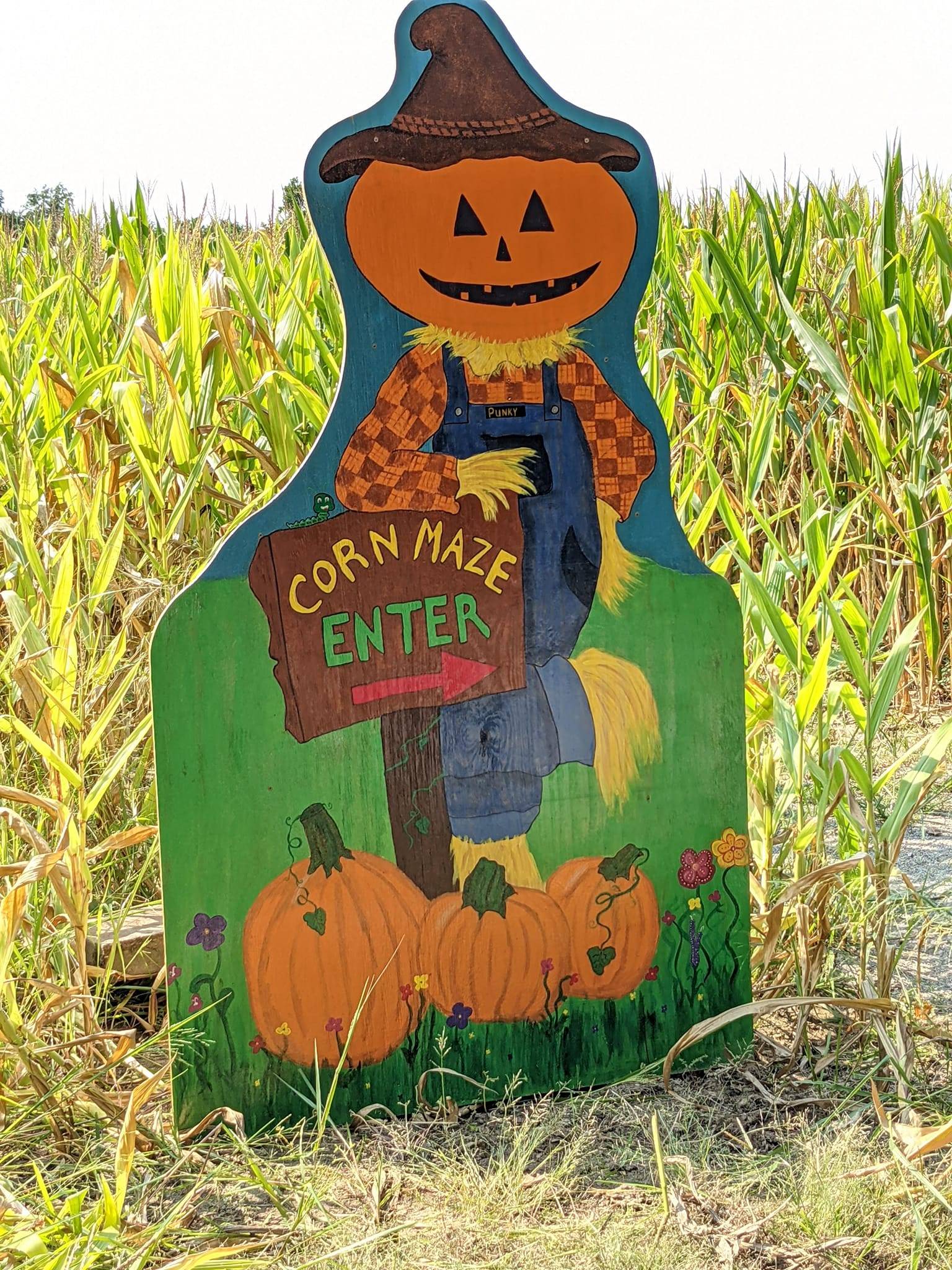 bandys-pumpkin-patch-johnston-city-illinois