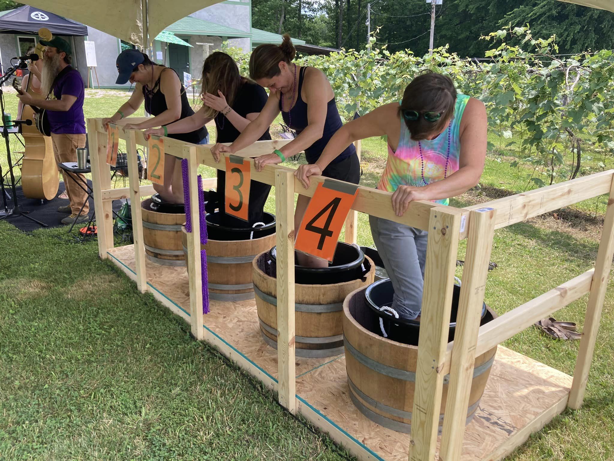 wichmann-vineyard-stomping-of-grapes-cobden-illinois