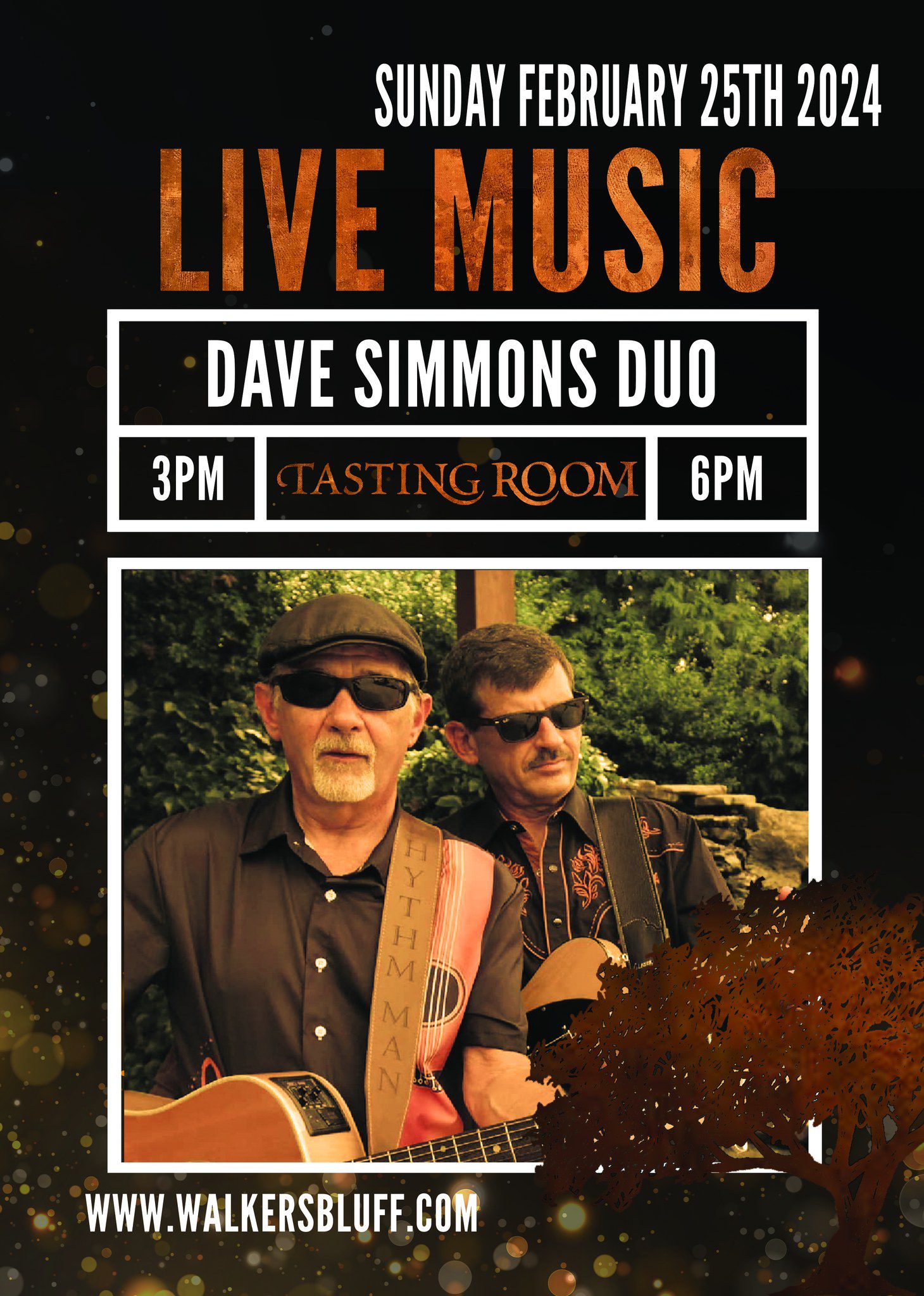 Dave-Simmons-Duo-southern-illinois