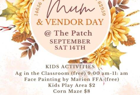 mum-vendor-day-the-patch-pittsburg-southern-illinois