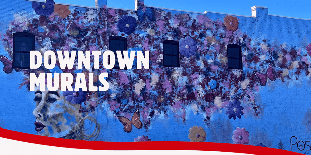 downtown-murals-williamson-county-southern-illinois