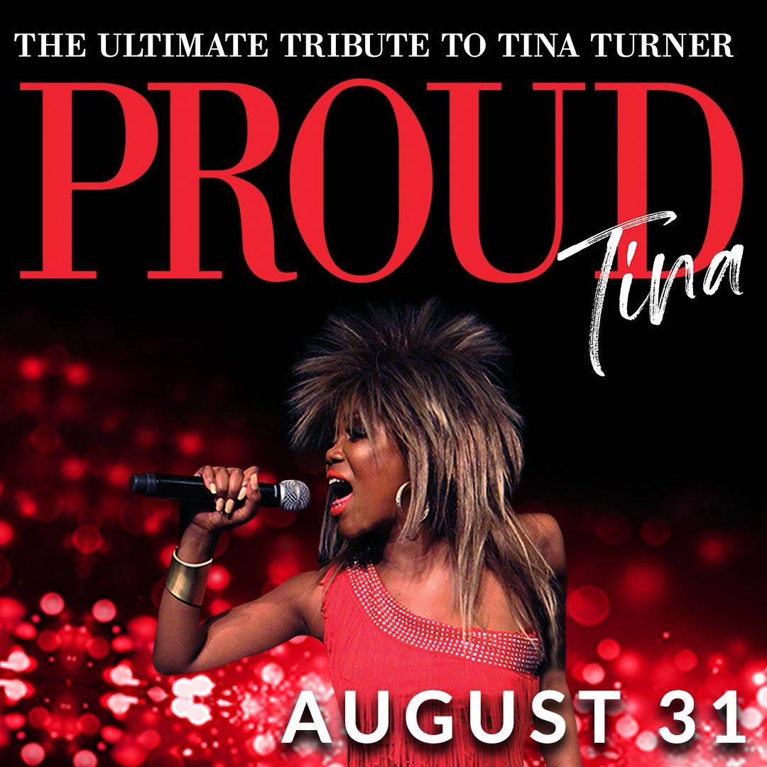 proud-tina-tribute-marion-illinois