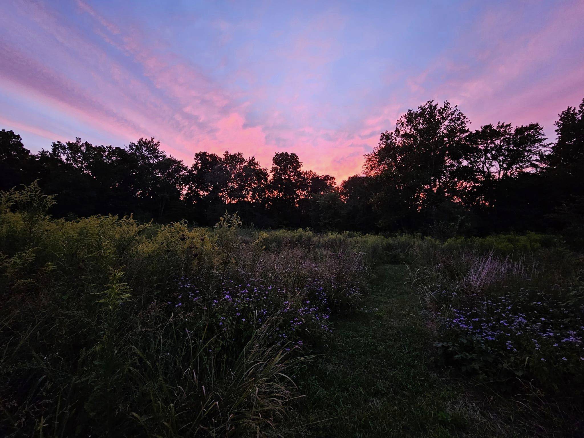 cedar-smith-farm-johnston-city-illinois