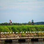 bicycle-restricted-area-crab-orchard-national-wildlife-refuge-carterville-il