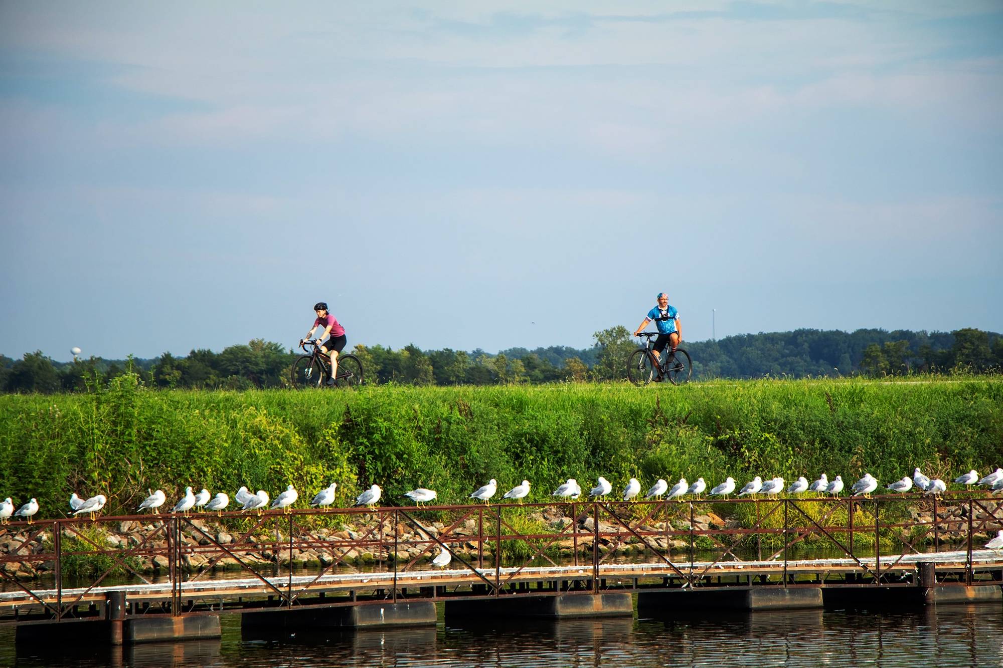 bicycle-restricted-area-crab-orchard-national-wildlife-refuge-carterville-il