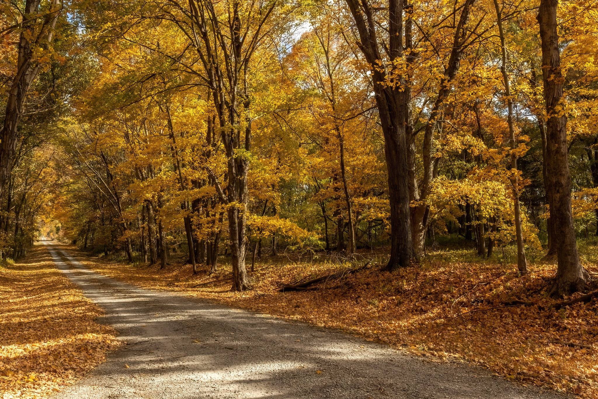 discovery-tours-crab-orchard-national-wildlife-refuge-carterville-il