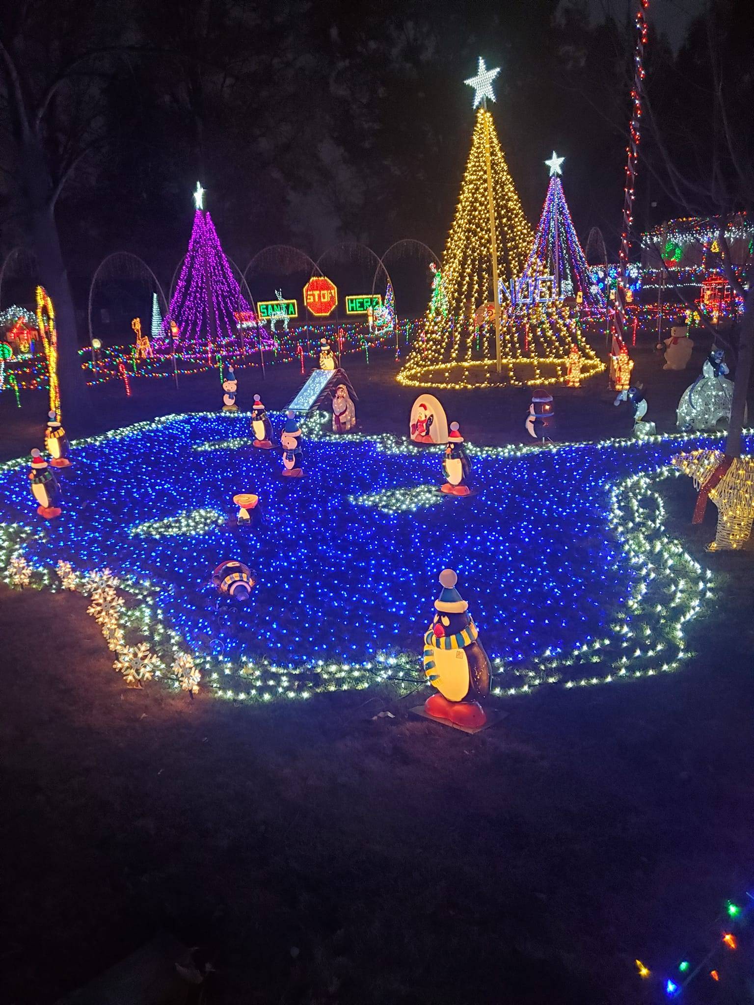 yost-family-lights-marion-illinois