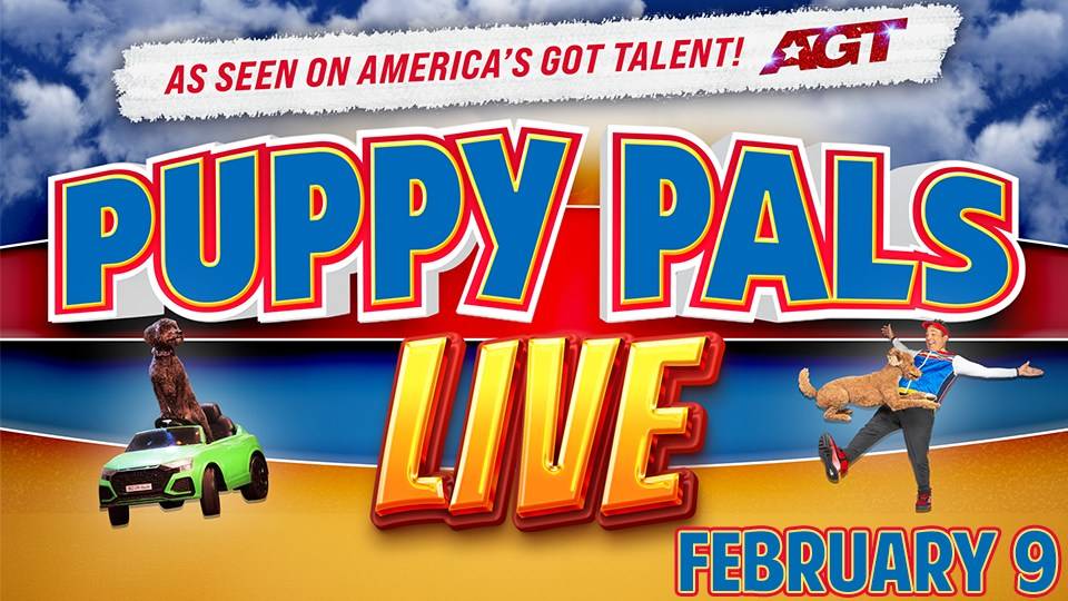 puppy pals live